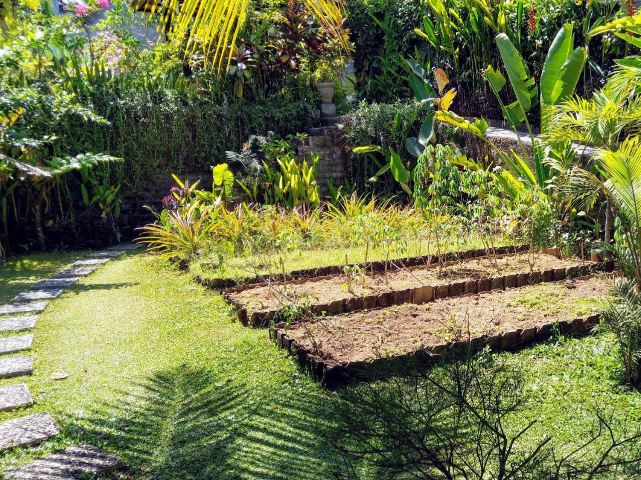 Putu'S Paradise Guesthouse Ubud  Exterior photo